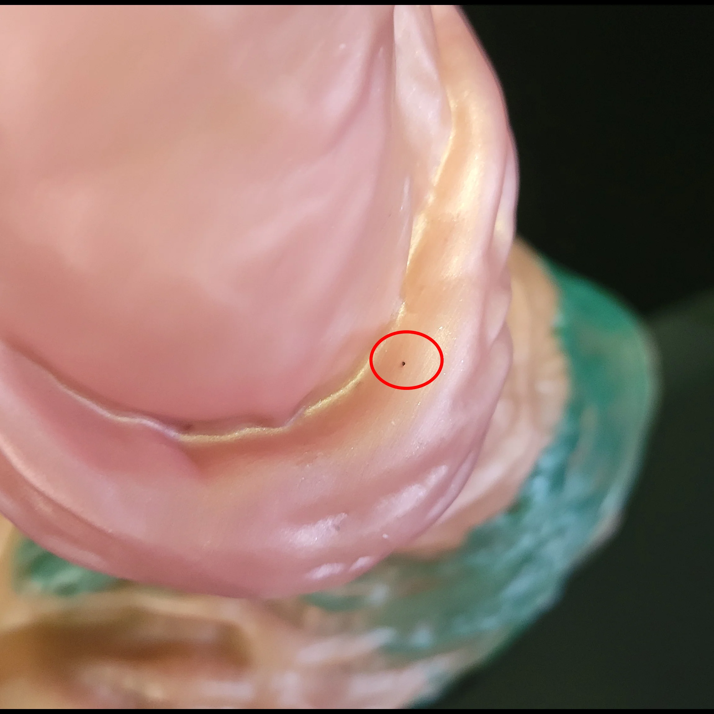 Grovetusk - Large - Natural Coloration - Ultra Soft Firmness - Attachment Hole (Discounted) - Image 3